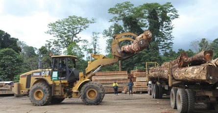 The Cloudy Bay timber operation.