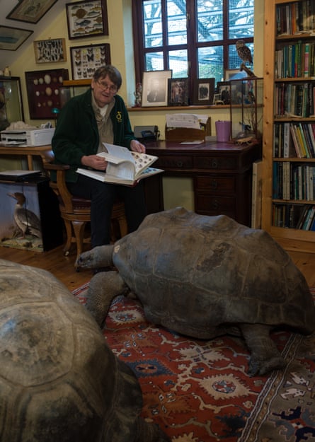 Carl Jones among his stuffed giant tortoises and other animal specimens
