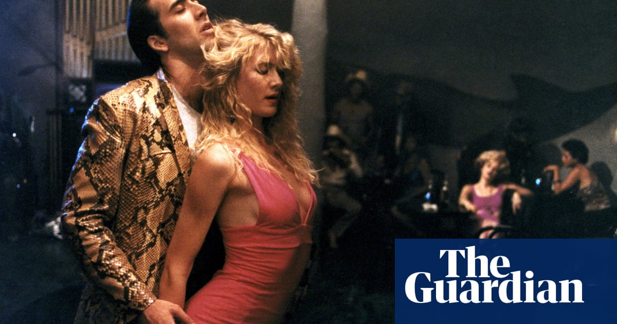 The Wild at Heart News and Videos