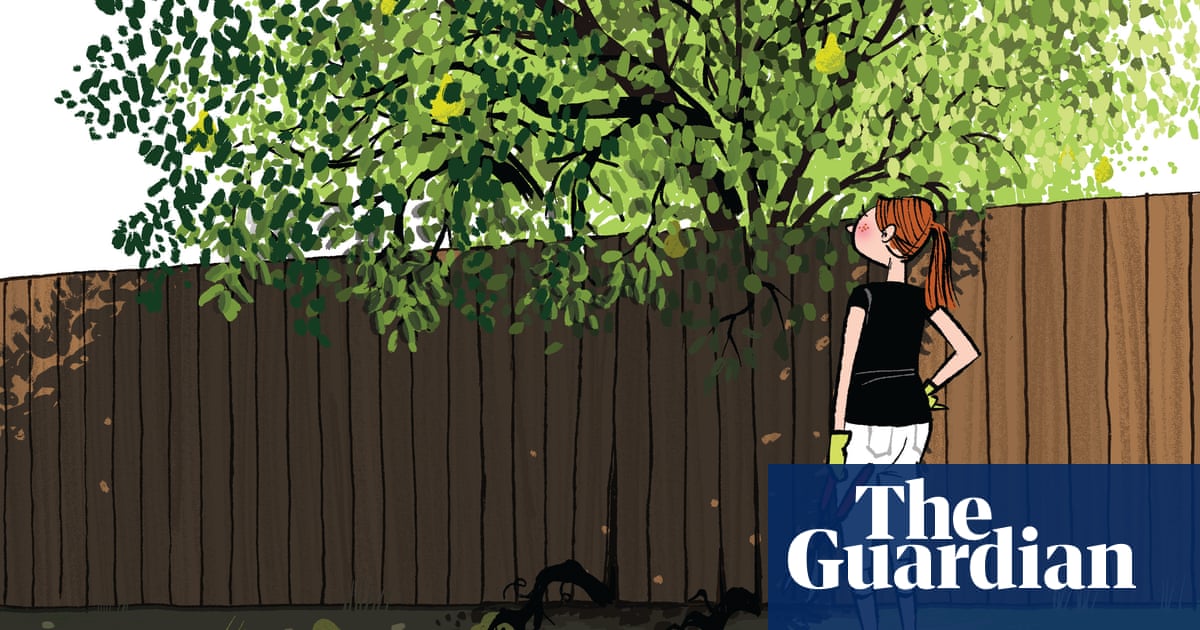 How Do We Deal With Overhanging Trees In Our Garden Property The Guardian