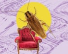 The pest I’ll never forget: the cockroaches I still dream about
