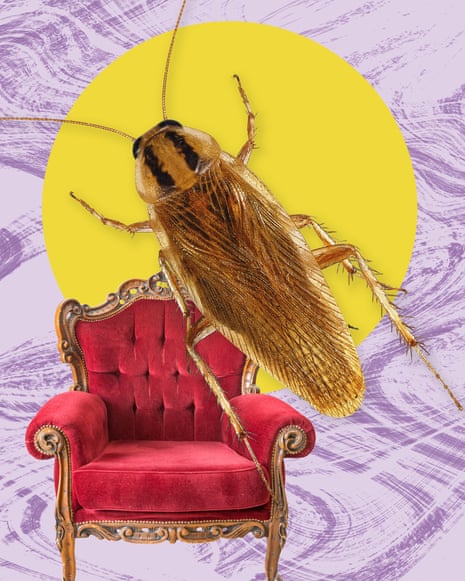 An illustration of a cockroach overlaid on a big red armchair.
