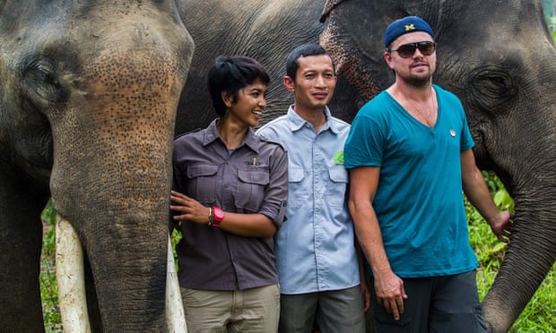 Leonardo DiCaprio poses with Sumatran elephants during his visit to Indonesia.