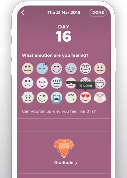The Resilience Project Wellbeing App.