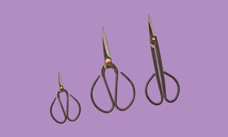 Shears