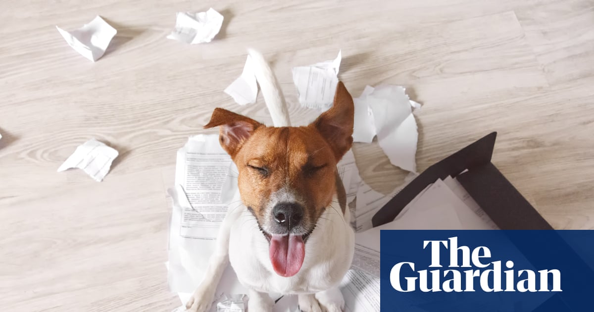 Readers reply: to shred or not to shred? Is it OK to throw out sensitive documents?