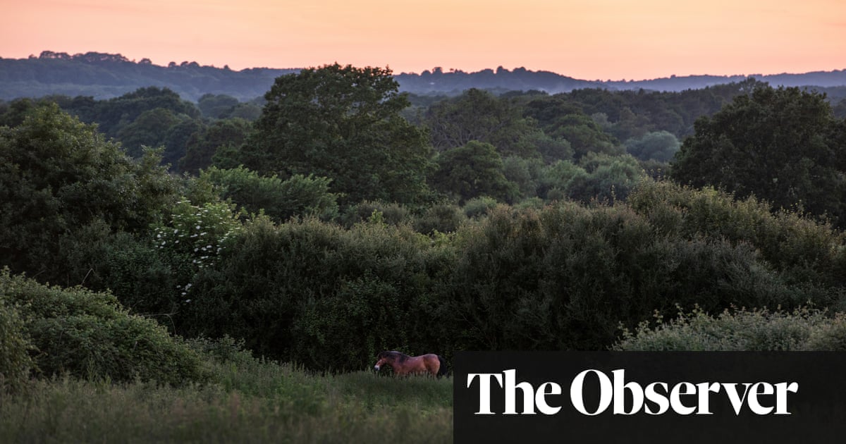 Pioneering rewilding project faces ‘catastrophe’ from plan for new houses
