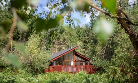 The White Willow Premium cabin in Delamere Forest, please credit paulbox paulbox ©