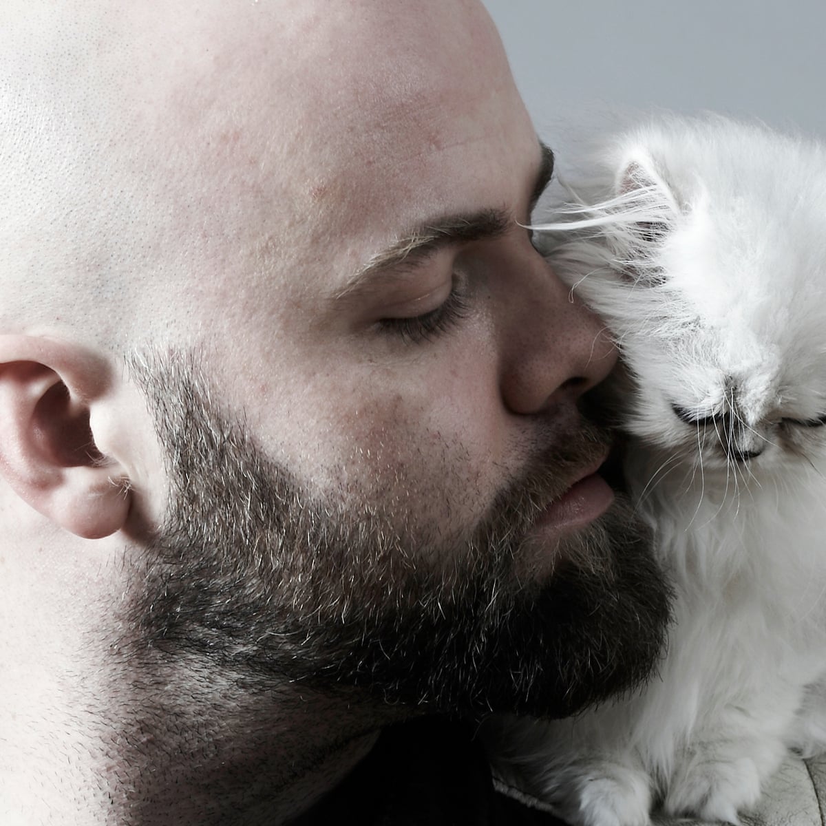 Rise Of The Cat Guy Man Has A New Best Friend Cats The Guardian