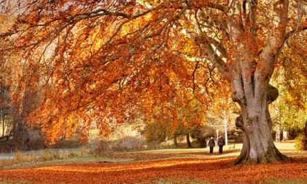 Golden Autumn colours at Peebles