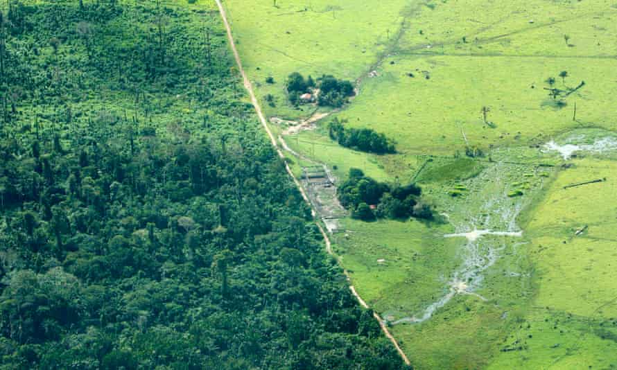 An area in Brazil’s Amazon state of Para freshly cleared for cattle, 2009.