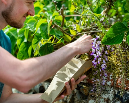 Morek collects samples from moss