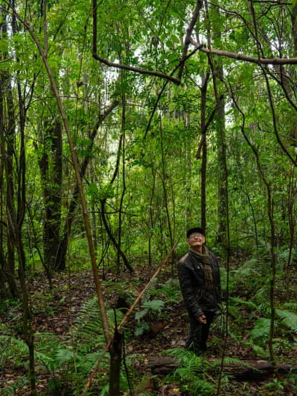 Ramon Benitez, 77, used to plant soybeans in this area. He decided to stop soy production 25 years ago when he realised that it was toxic. Since then, the forest has been regenerating with native species; the yerba mate tree is one of them.