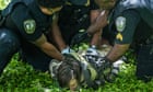Police allegedly use rubber bullets and teargas at university protest in Georgia