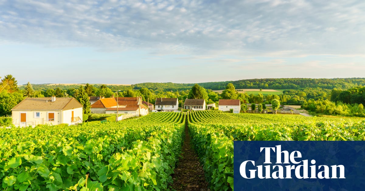 Importers stockpile alcohol for Christmas to avoid Brexit drought