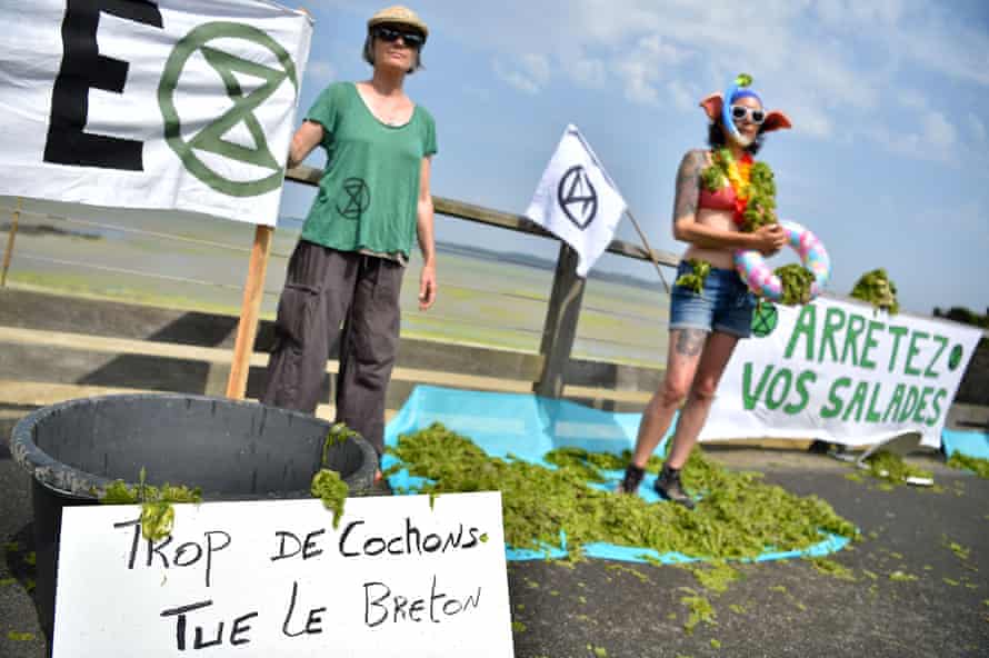 Activists stand next to a placard reading ‘Too many pigs kill local inhabitants’ as they protest against toxic seaweed that covers the Valais beach in Saint-Brieuc.