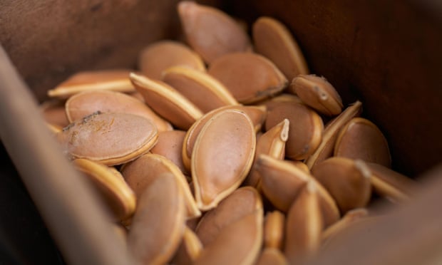 Exploring the History and Origins of Heirloom Seeds