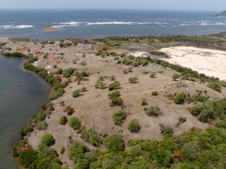 A brown hillside with few trees.