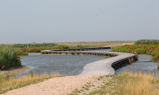 A ‘Maldives-style’ boardwalk across wetlands