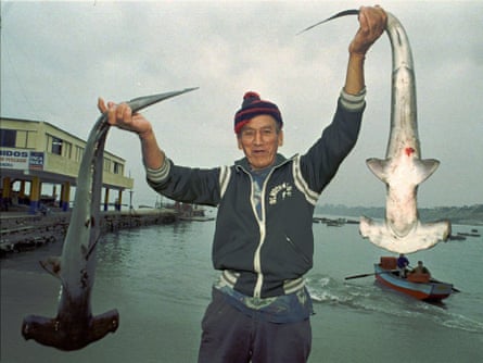 A man holds two hammerhead sharks he caught off a fishing terminal