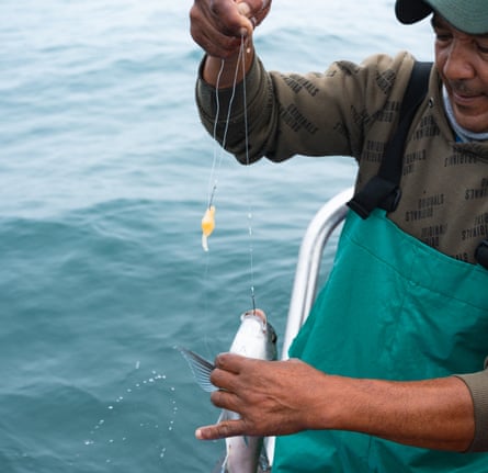 Fisher Wilfred Poggenpoel catching a Cape bream off Lambert’s Bay, in South Africa.