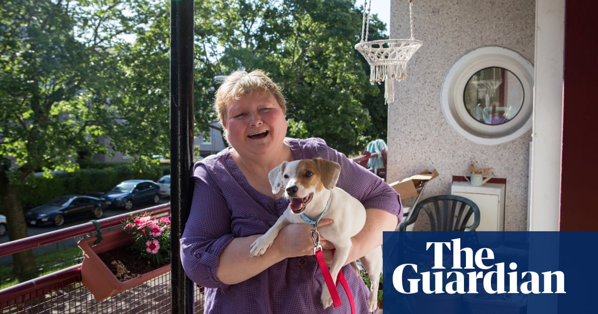 Experience: my dog underwent gender reassignment surgery | Dogs | The  Guardian