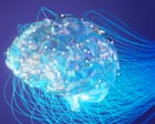 Devi Sridhar Warns of AI's Corrosive Effects on Student Brains