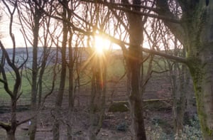 A walk with Troy the dog.