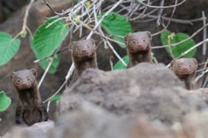 Surprise smiles, Lake Bogoria, Kenya