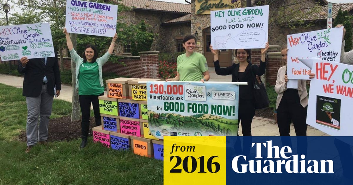 Olive Garden Protests Target Drugged Chickens And Fair Wages
