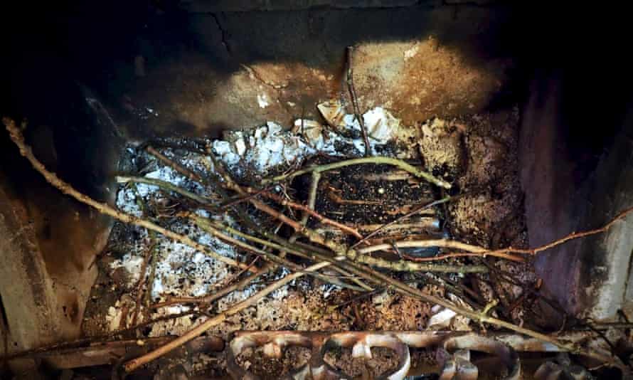 Jackdaw nest sticks in fireplace