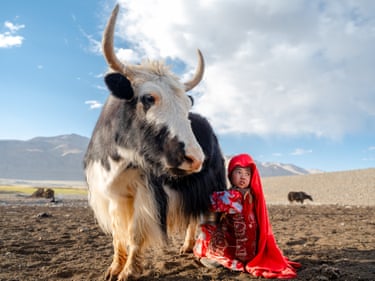 a boy in red traditional costume squats next to a horned cow, with mountains in the background