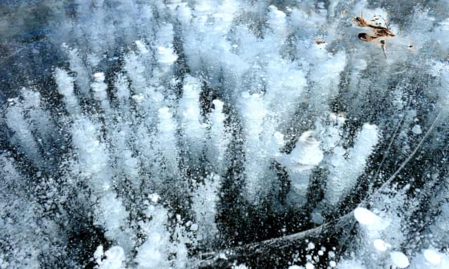 Methane bubbles frozen in a lake in China.