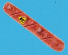 What's Inside Your Hotdog: Nutrition Experts Reveal