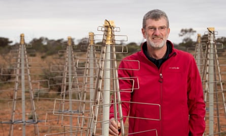 Dr Lewis Ball, chief of CSIRO astronomy and space science, with ‘Christmas trees’. Believe it or not, these are the future of radio astronomy.
