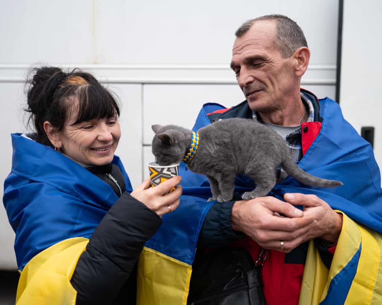 Ukrainians wrapped in a blue and yellow flag feed a grey kitten from a cup