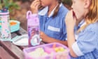 Lunchbox relief: Queensland Labor serves up $15m for free school lunches but Greens say that won’t go far