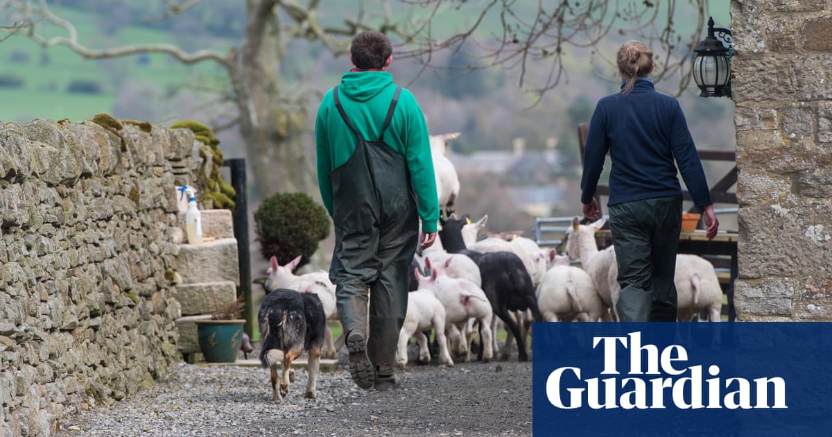 Tax changes are the straw that breaks UK farmers' backs | Letter