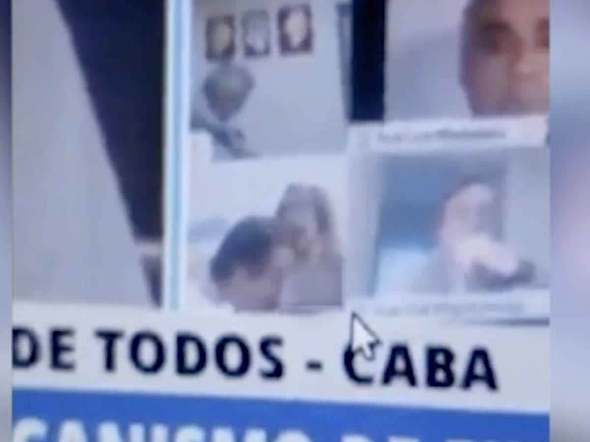 Argentinian Politician Quits After Kissing Partner S Breasts In Online Legislative Session Argentina The Guardian