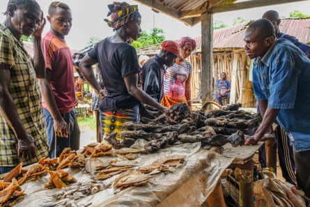 Bushmeat on sale at the weekly market in Yangambi, DRC