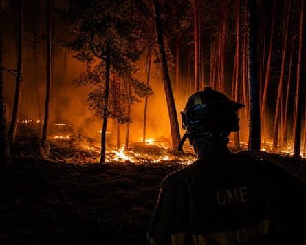 A night shot of a firefighter with their back to their camera looking at burning trees