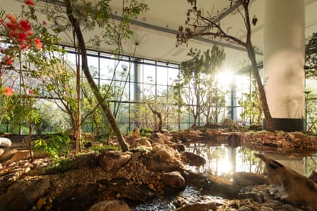 Convene with nature … a garden planted by Precious Okoyomon at the São Paulo biennale.