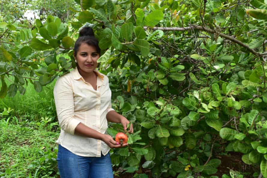 Hilda Betancourt, president of Caja Rural 15 de Enero, a community cooperative developing cashew crops in El Triunfo.