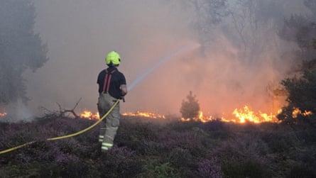 A firefighter tackles flames on Dunwich Heath.