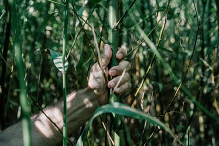 A hand grasps the trunk of a sapling.