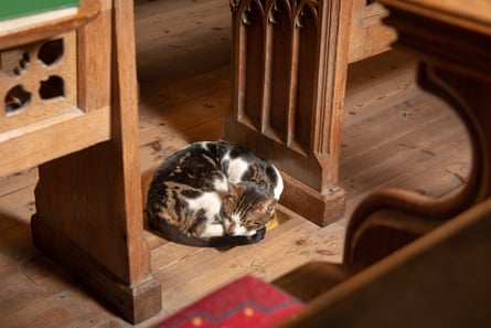 A sleeping cat curled underneath a pew inside a cathedral.