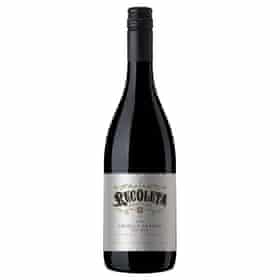 Mauricio Lorca Recoleta Criolla Grande 2019