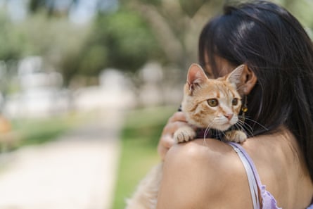 A cute cat being cuddled by a young woman in a park