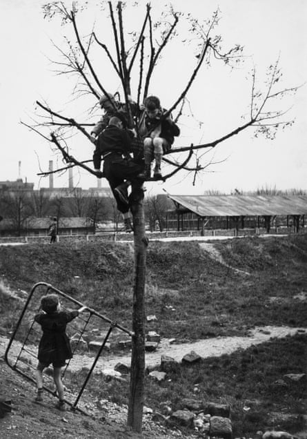Children in a tree, photographed by Sabine Weiss in Paris in 1951