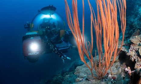 Collecting samples of coral in a submarine in the Maldives